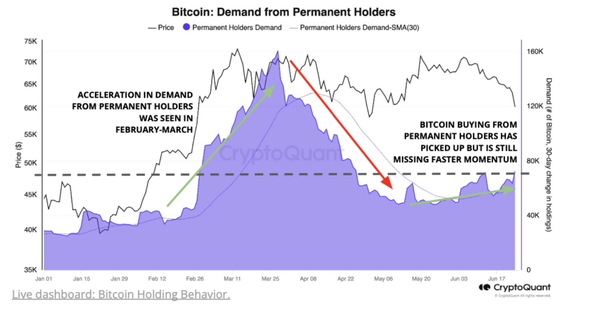 Bitcoin Demand From Permanent Holders